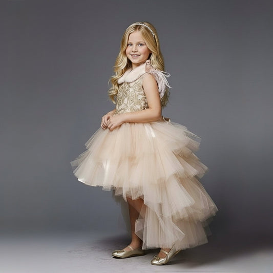 Ayla champagne hi-low dress with beaded bodice, front view