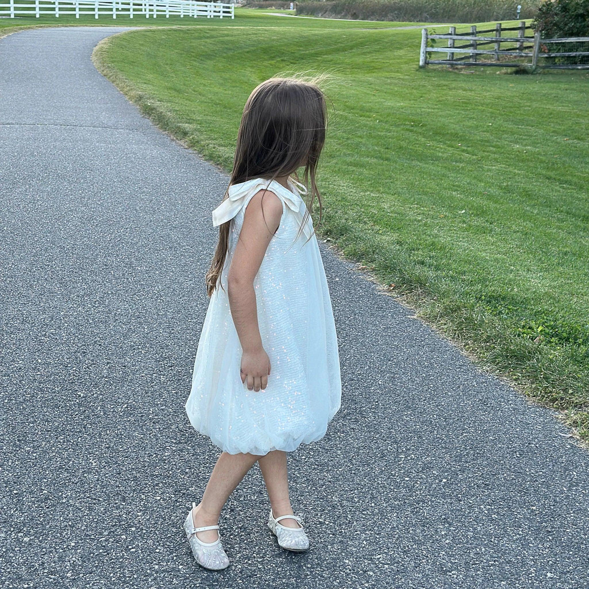 Luna dress sleeveless bodice and neckline